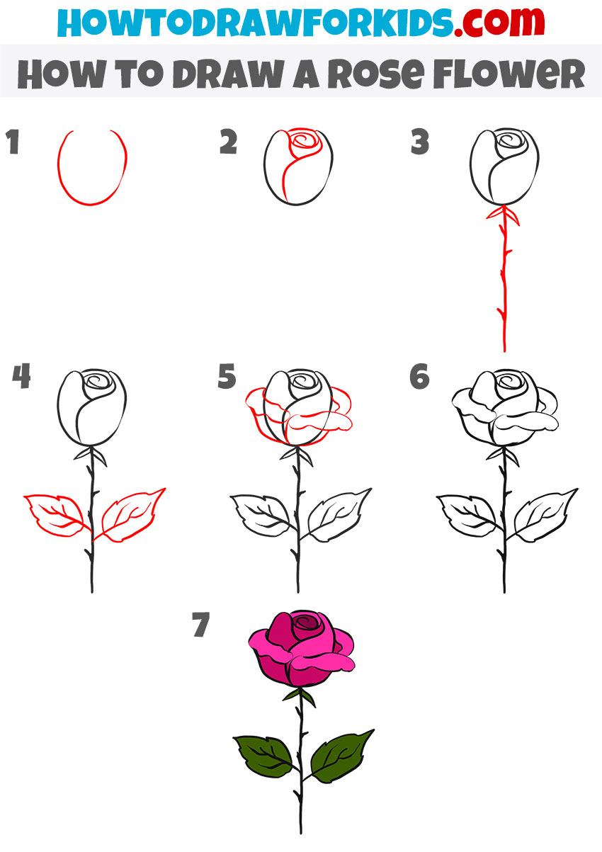 How to draw a Rose Flower step by step