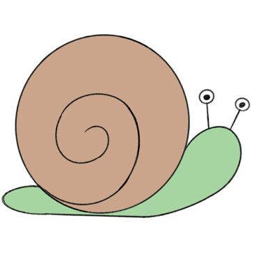 How to Draw a Snail for Kindergarten