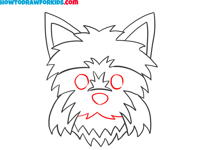 How to draw a Yorkie Face easy