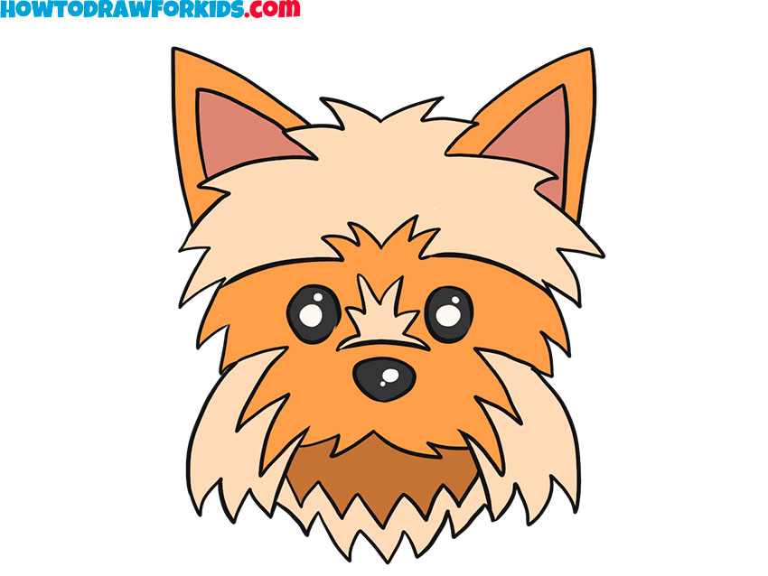 How to draw a Yorkie Face for kids