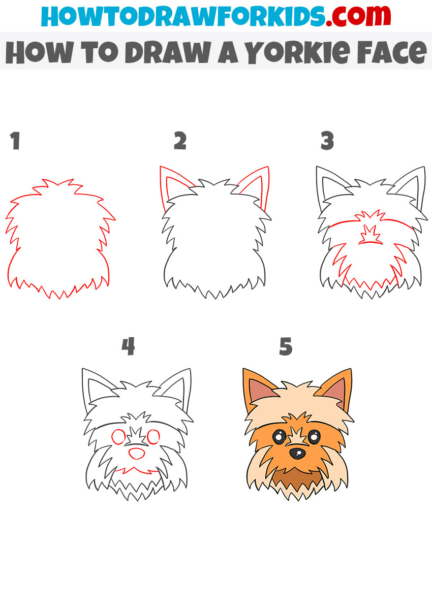 How to draw a Yorkie Face step by step