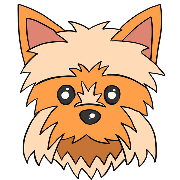 How to Draw a Yorkie Face Easy Drawing Tutorial For Kids