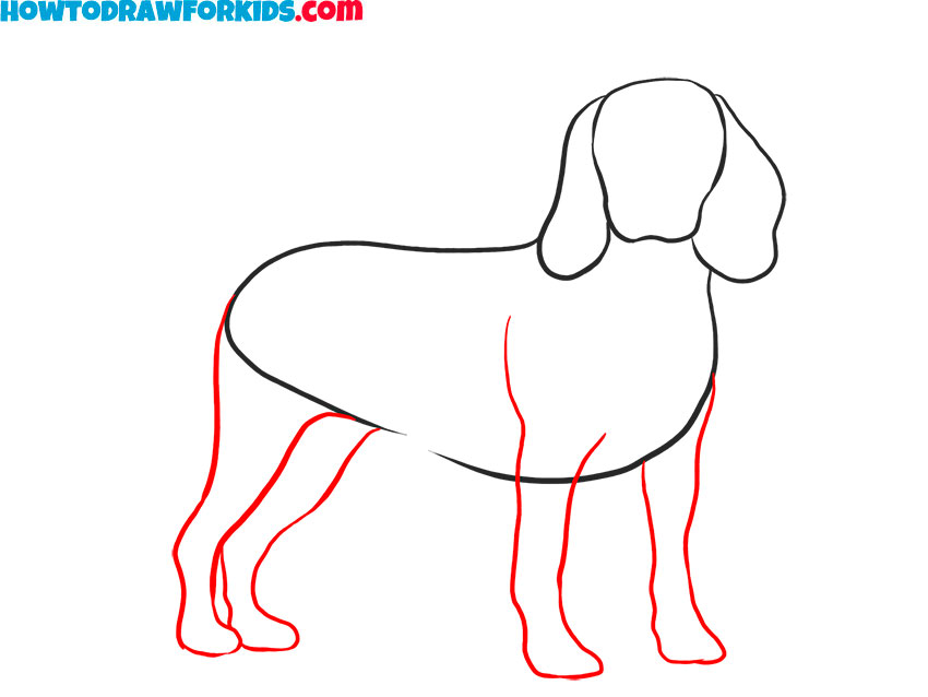How to draw a cartoon Realistic Dog