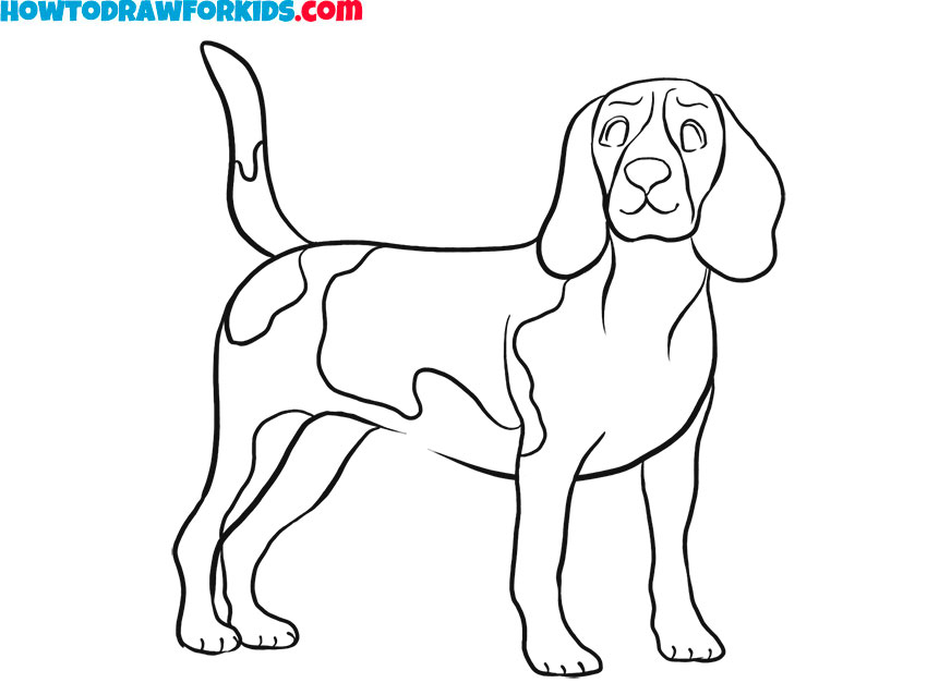 How to draw a simple Realistic Dog