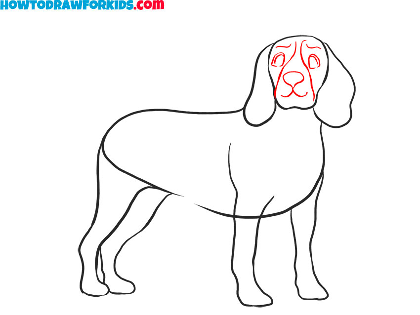 Realistic Dog drawing tutorial