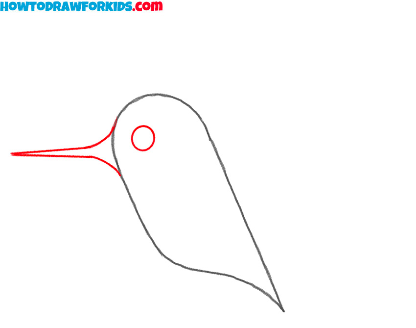 how to draw and color a hummingbird