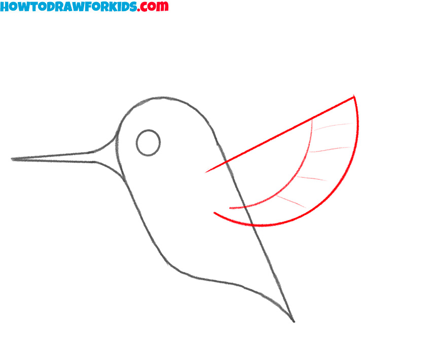 how to draw a hummingbird cartoon