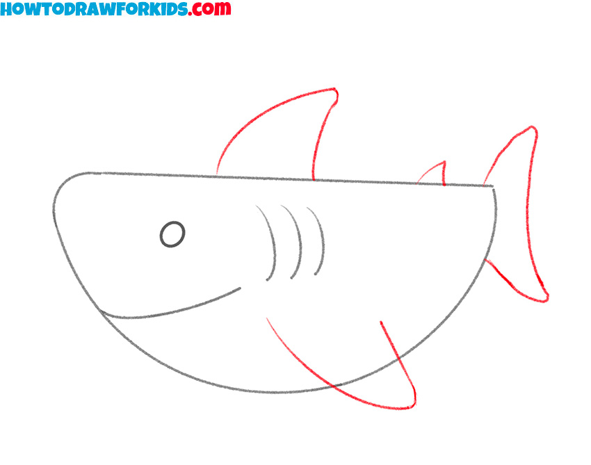 how to draw a shark realistic
