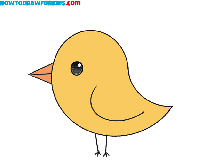 how to draw a bird body