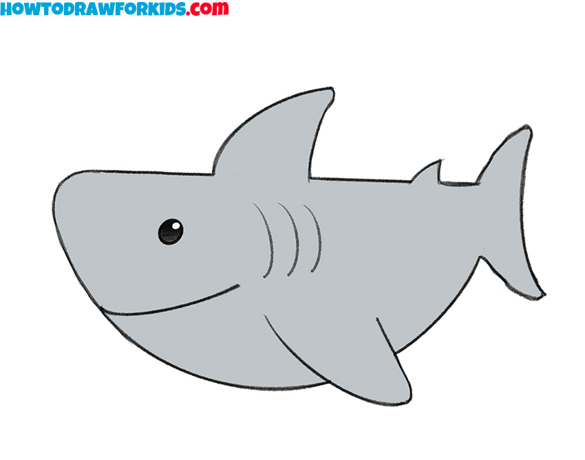 how to draw a shark body