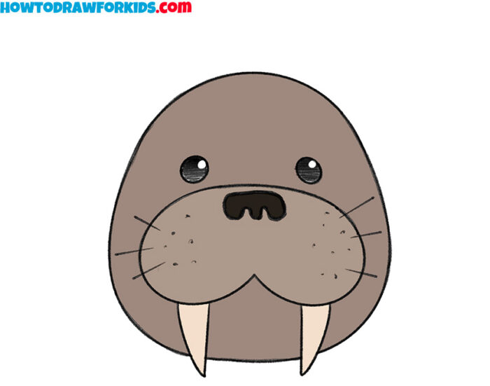 How to Draw a Walrus Face for Kindergarten Easy Drawing Tutorial