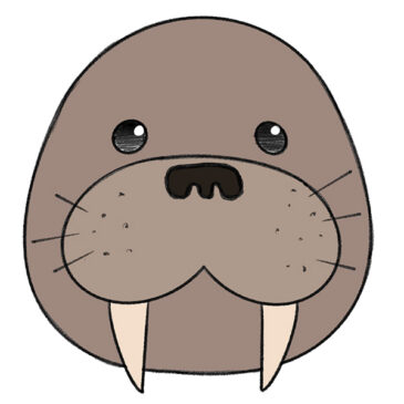 How to Draw a Walrus Face for Kindergarten