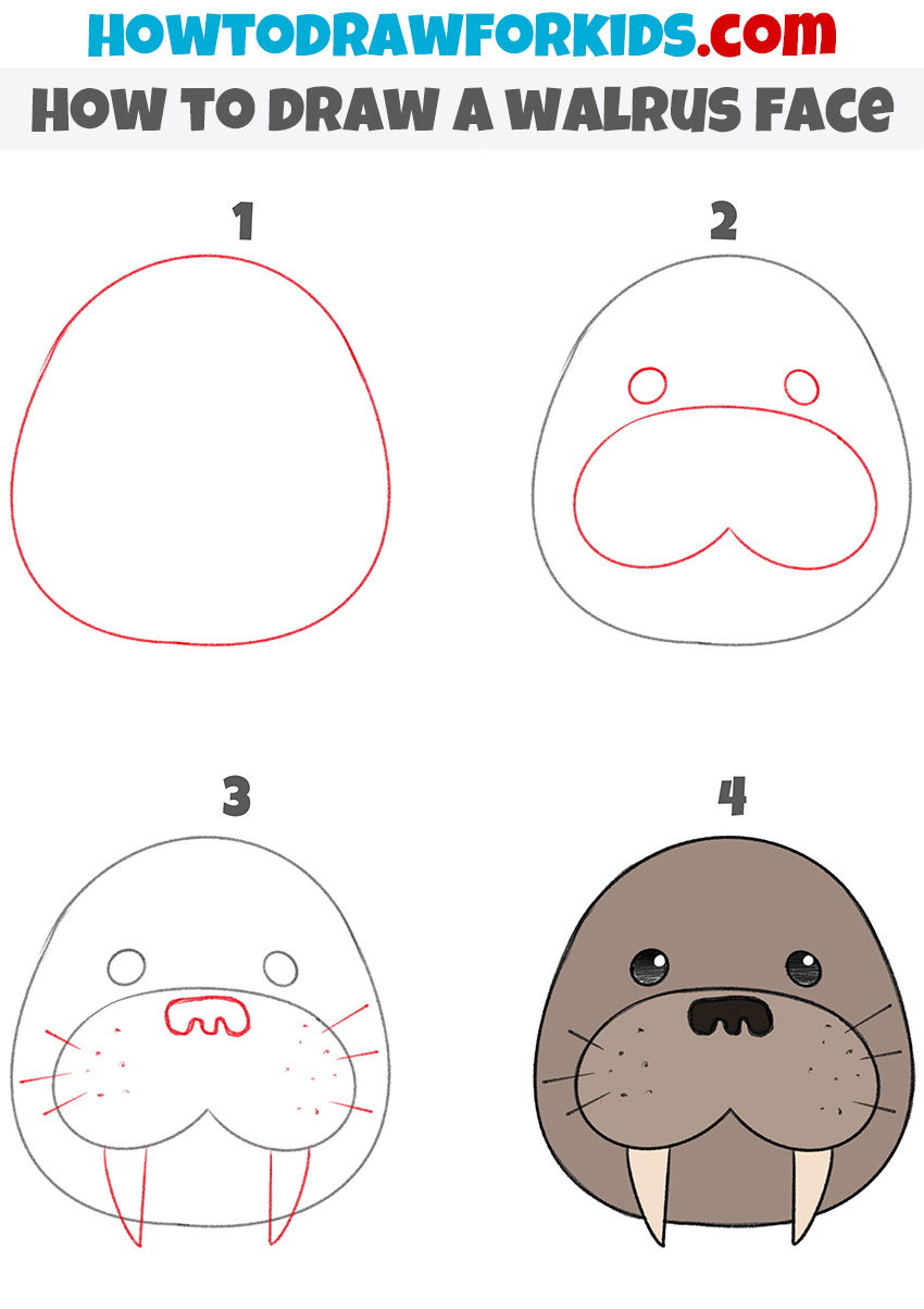 walrus face drawing