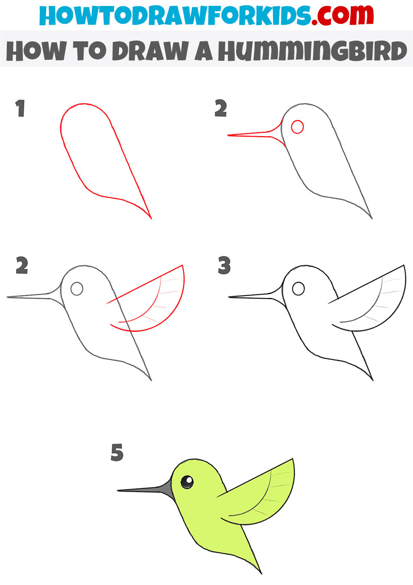 How to draw a Hummingbird step by step