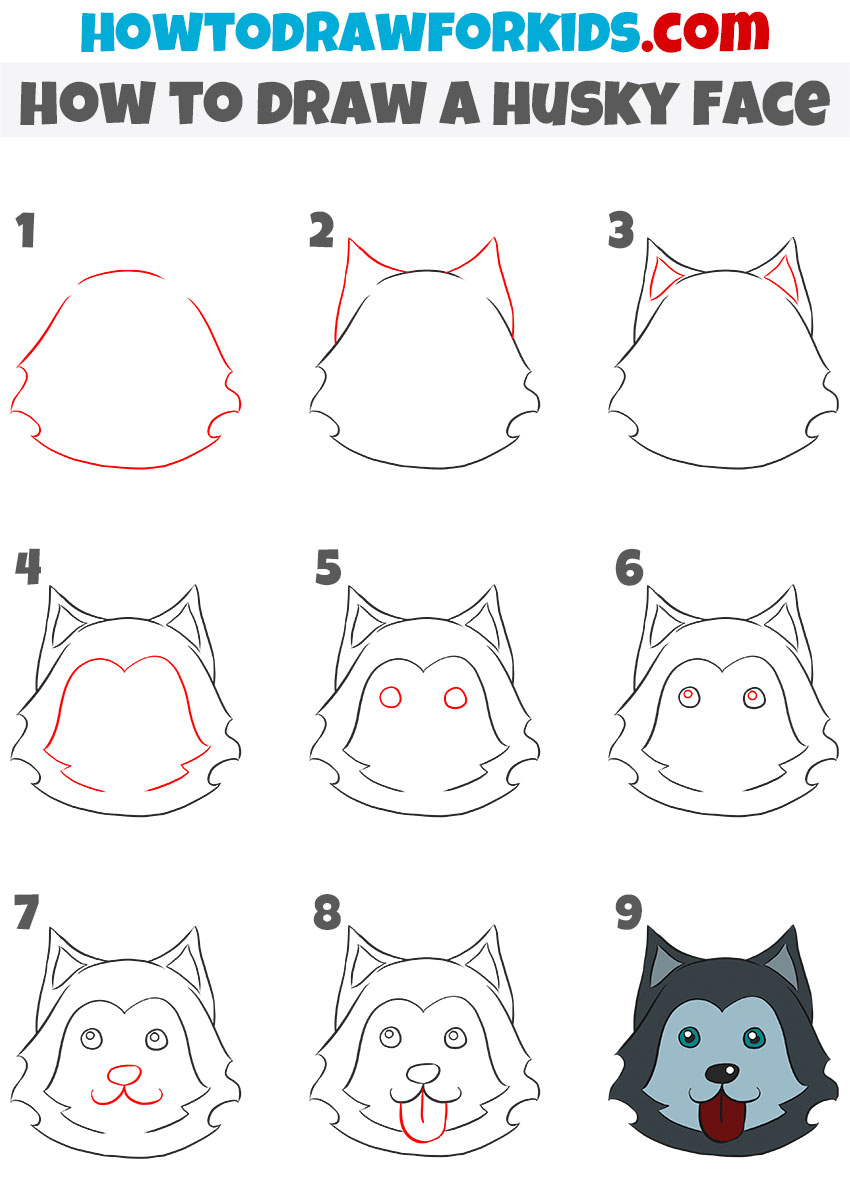 How to draw a Husky Face step by step