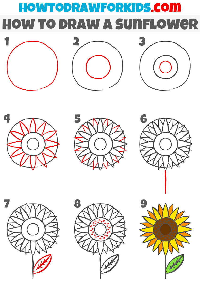 How to draw a Sunflower step by step