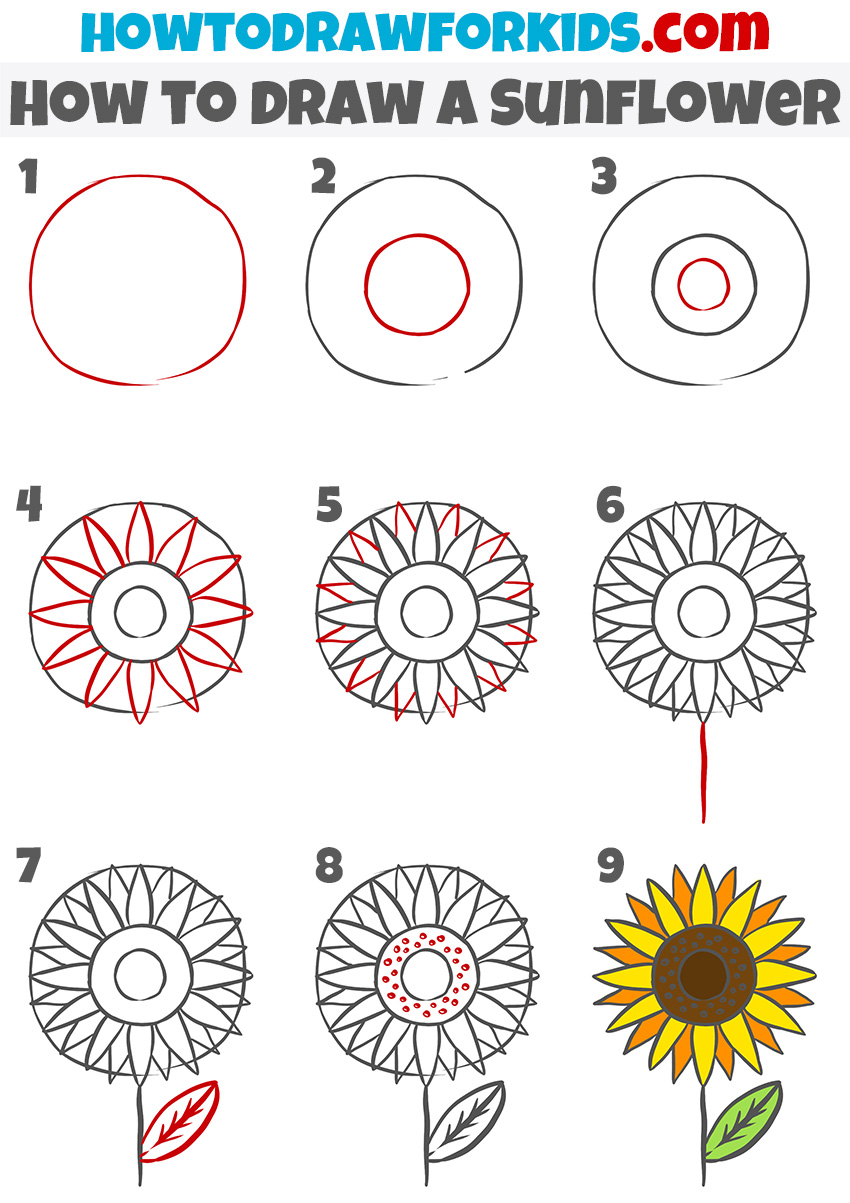How to draw a Sunflower step by step