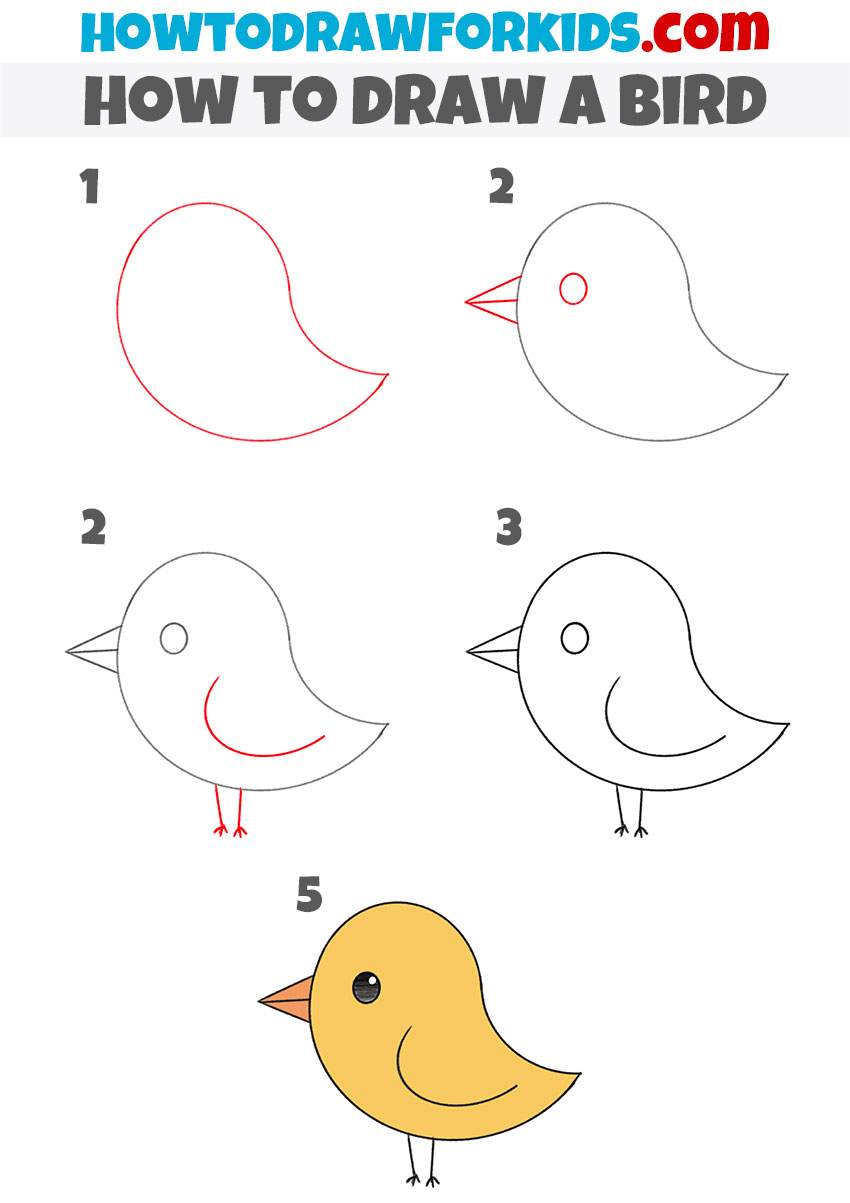 How to draw a bird step by step