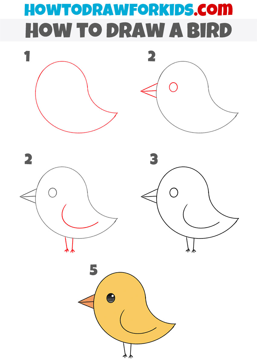 How To Draw A Bird For Kindergarten - Easy Drawing Tutorial For Kids