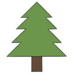 How to Draw a Pine for Kindergarten