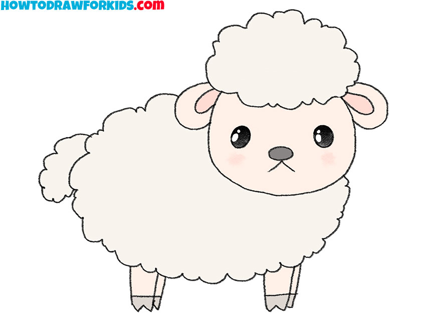 How to draw a sheep featured image