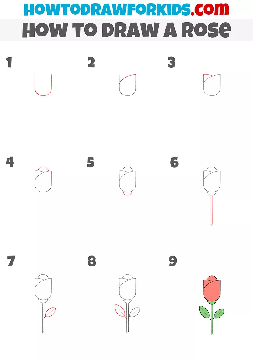 How to draw a simple rose
