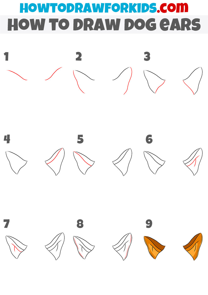 How to draw dog ears step by step