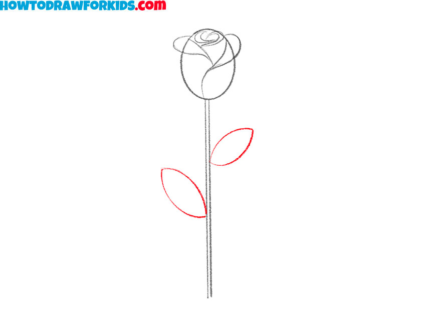 a rose drawing guide