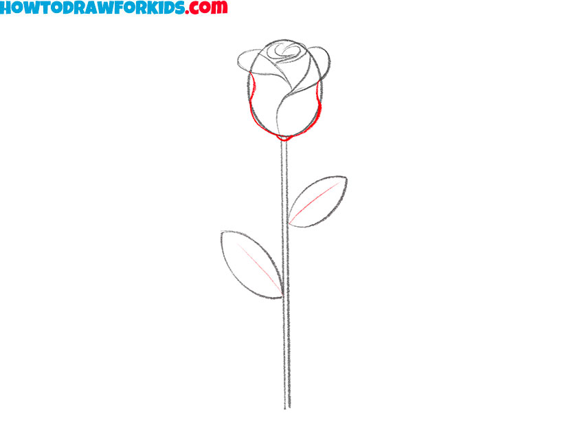 drawing the shape of a rosebud