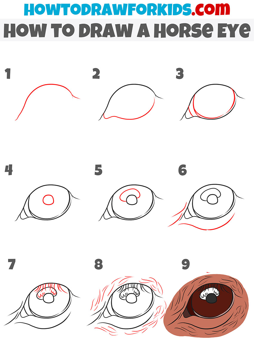 how to draw a Horse Eye step by step