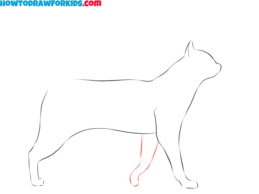 how to draw a cartoon realistic animal