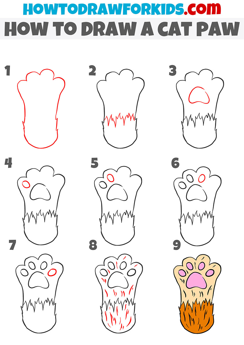 how to draw a cat paw step by step