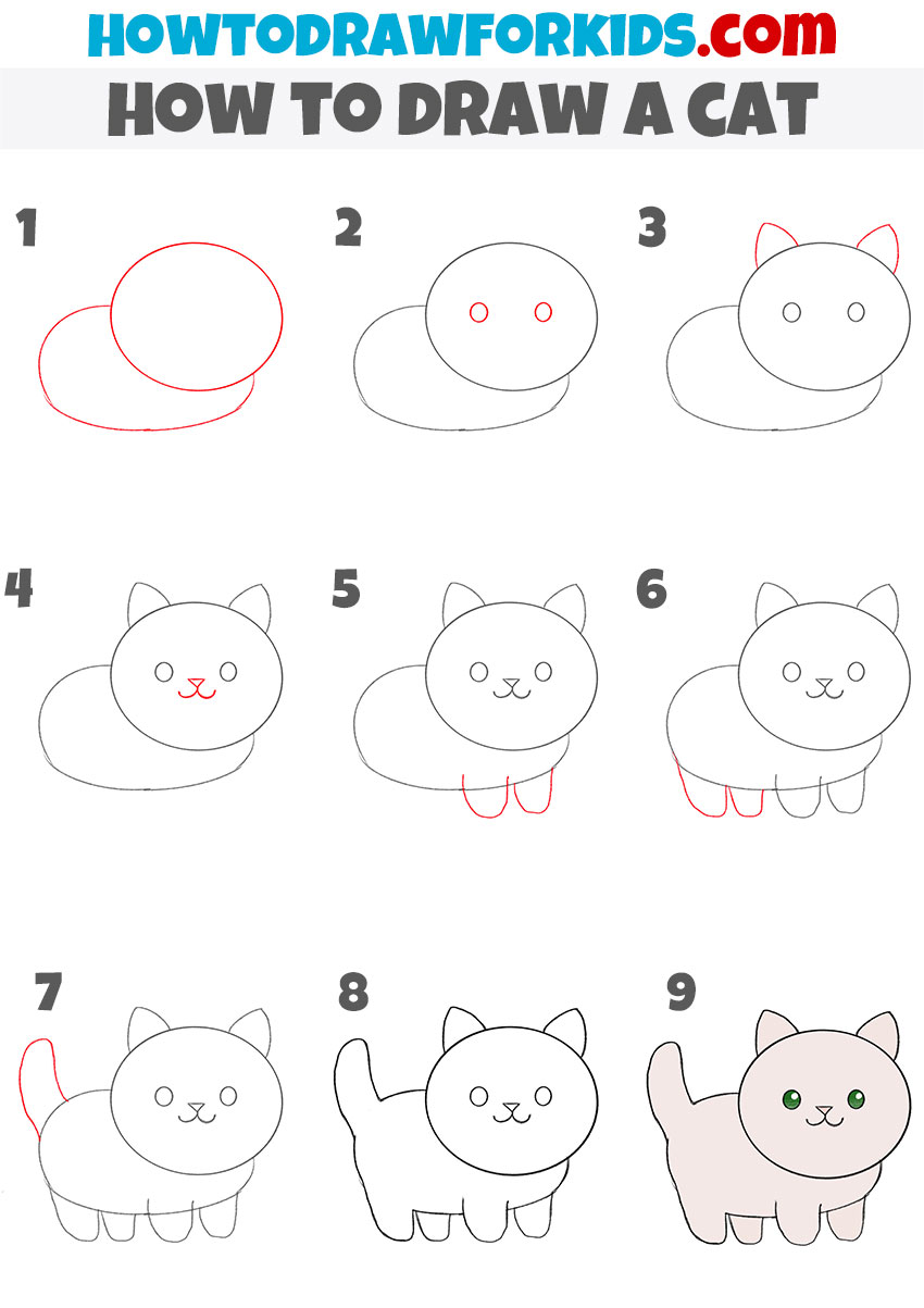 easy cat drawing step by step