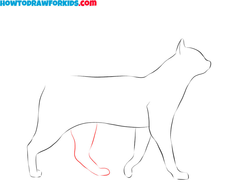 How To Draw Realistic Animals Step By Step For Beginners