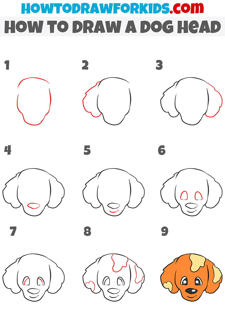 how to draw a dog head step by step
