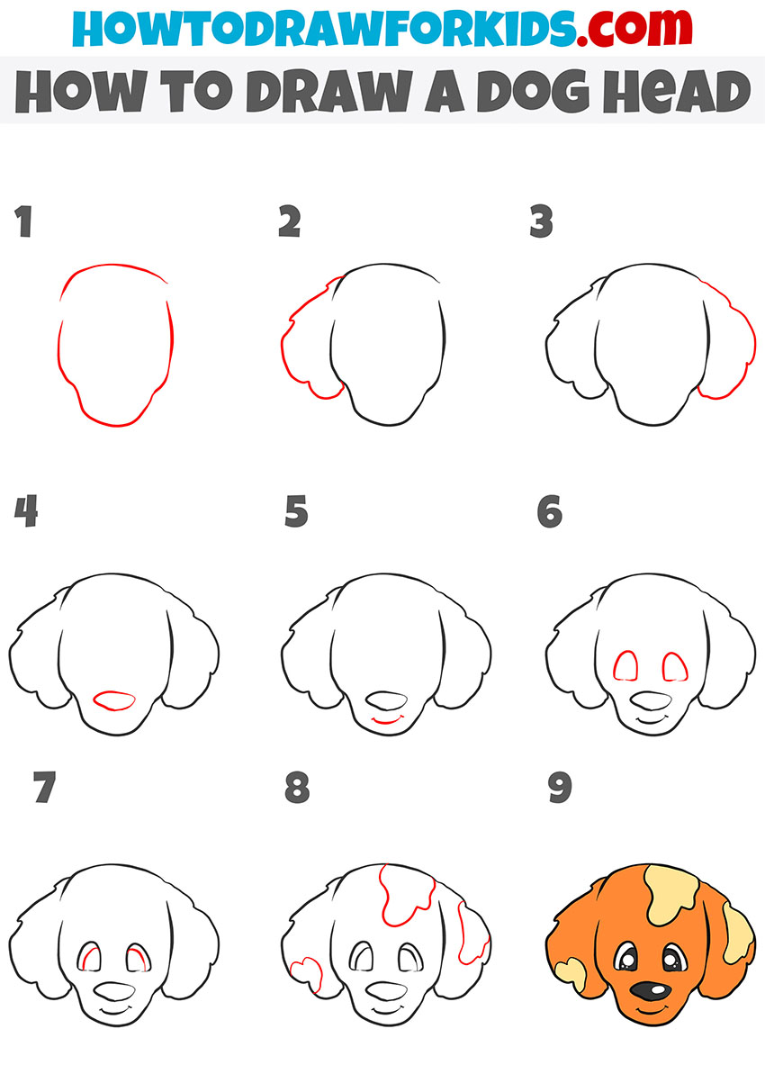 Dog Head Front View Drawing Step by Step - EasyDrawingTips