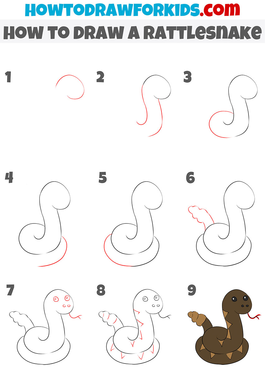 how to draw a rattlesnake step by step