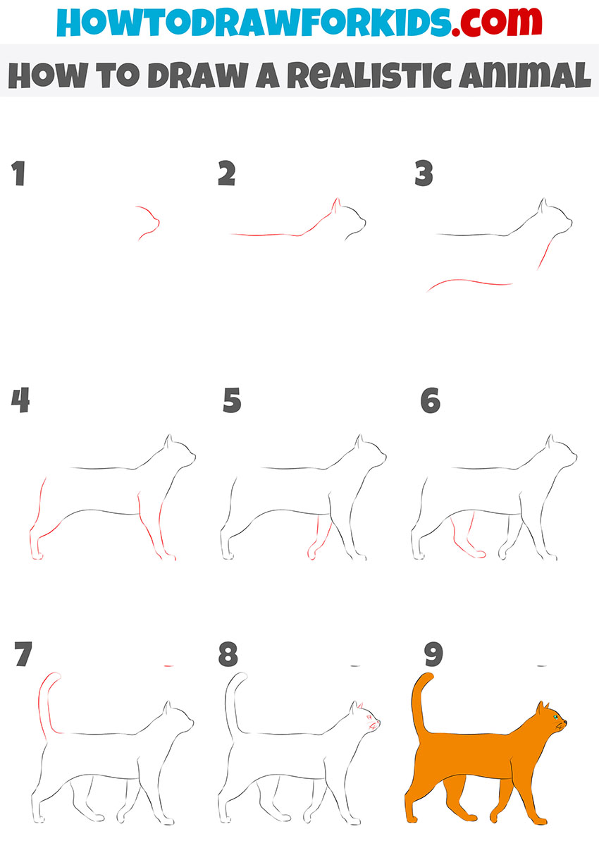 how to draw a realistic animal step by step