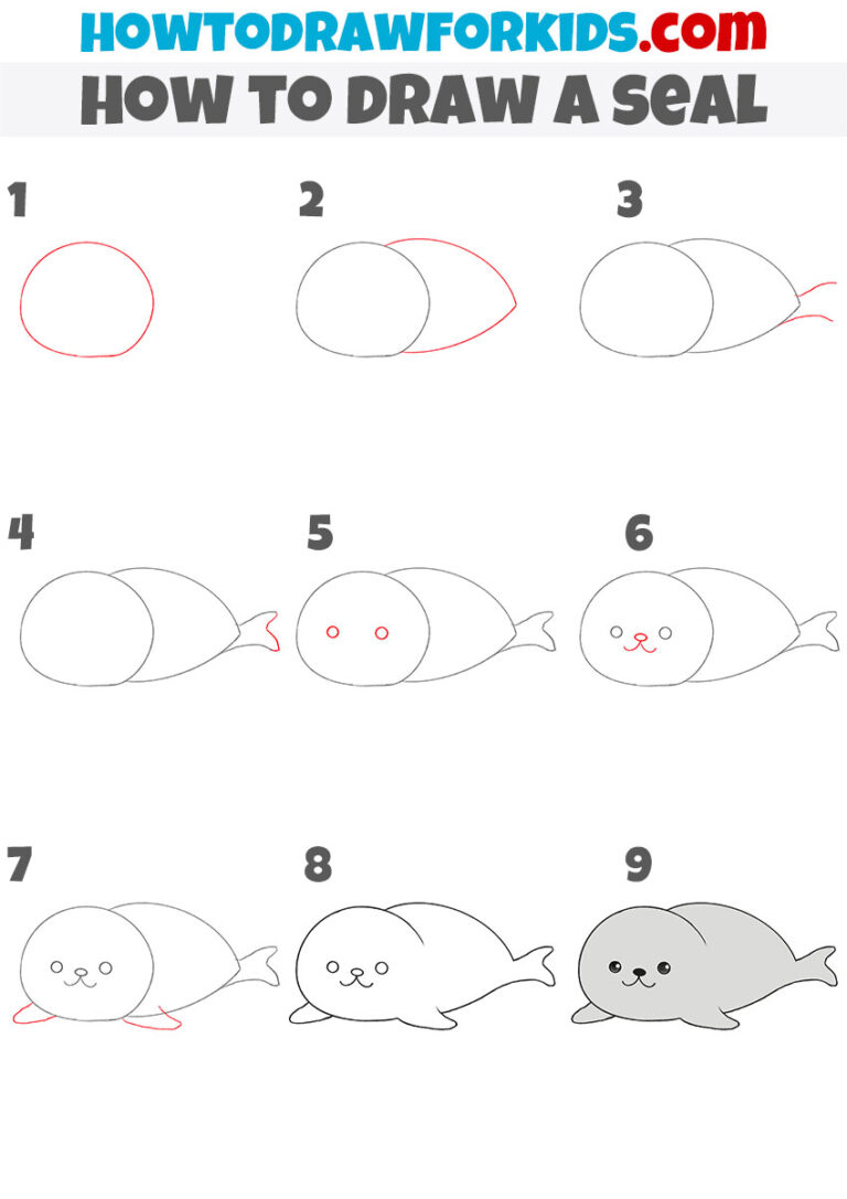 How to Draw a Seal Easy Drawing Tutorial For Kids