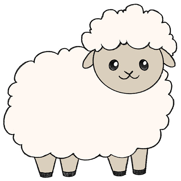 How to Draw a Sheep