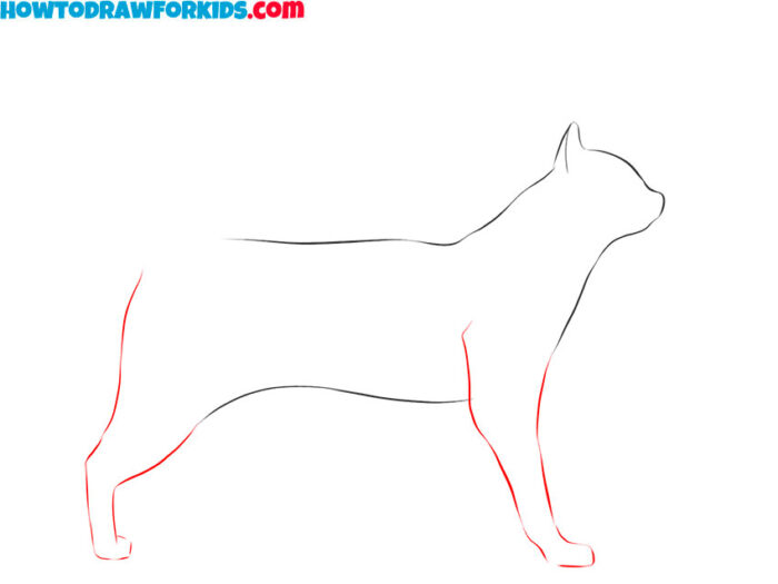 How to Draw a Realistic Animal - Easy Drawing Tutorial For Kids