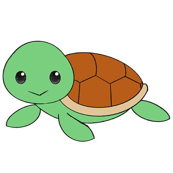 Drawing Pictures Of Turtles