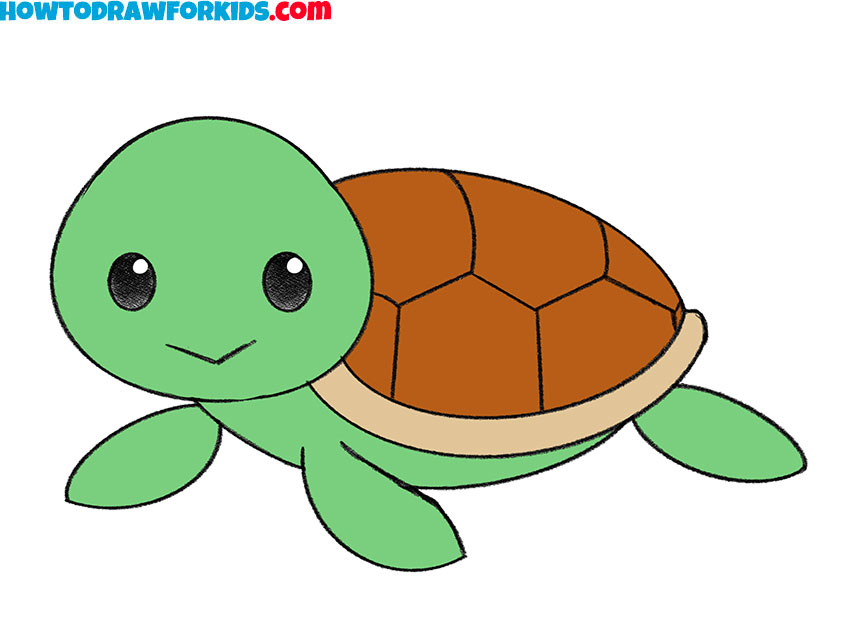 how to draw a cute turtle