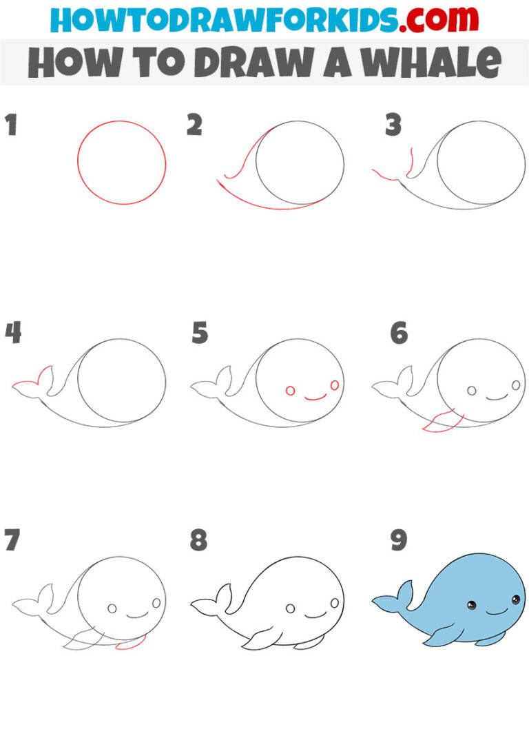 How to Draw a Whale Easy Drawing Tutorial For Kids