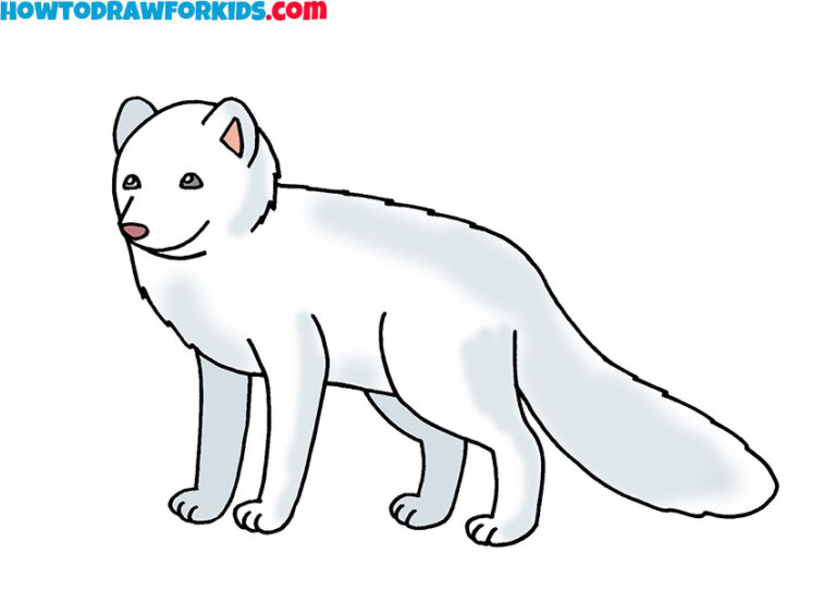 How to Draw an Arctic Fox Easy Drawing Tutorial For Kids