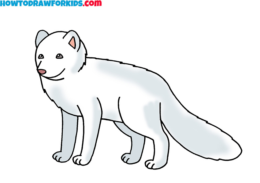 How To Draw A Arctic Fox