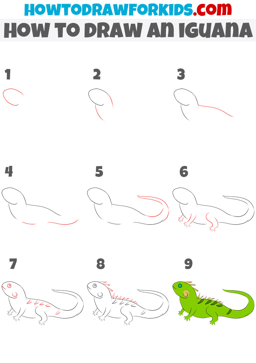 how to draw an iguana step by step