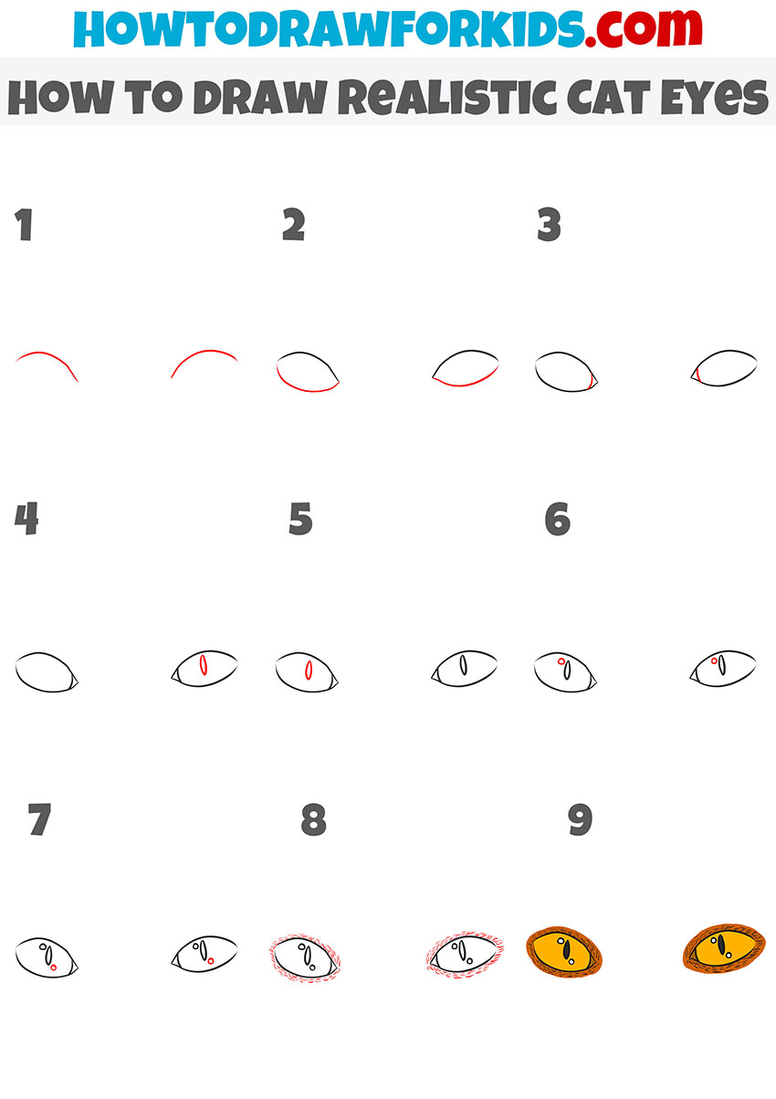 how to draw realistic cat eyes step by step