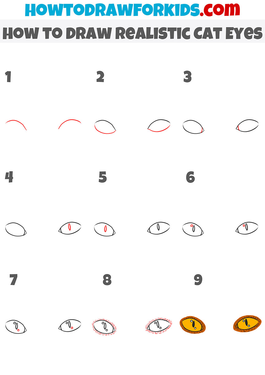 How to Draw Realistic Cat Eyes Easy Drawing Tutorial For Kids