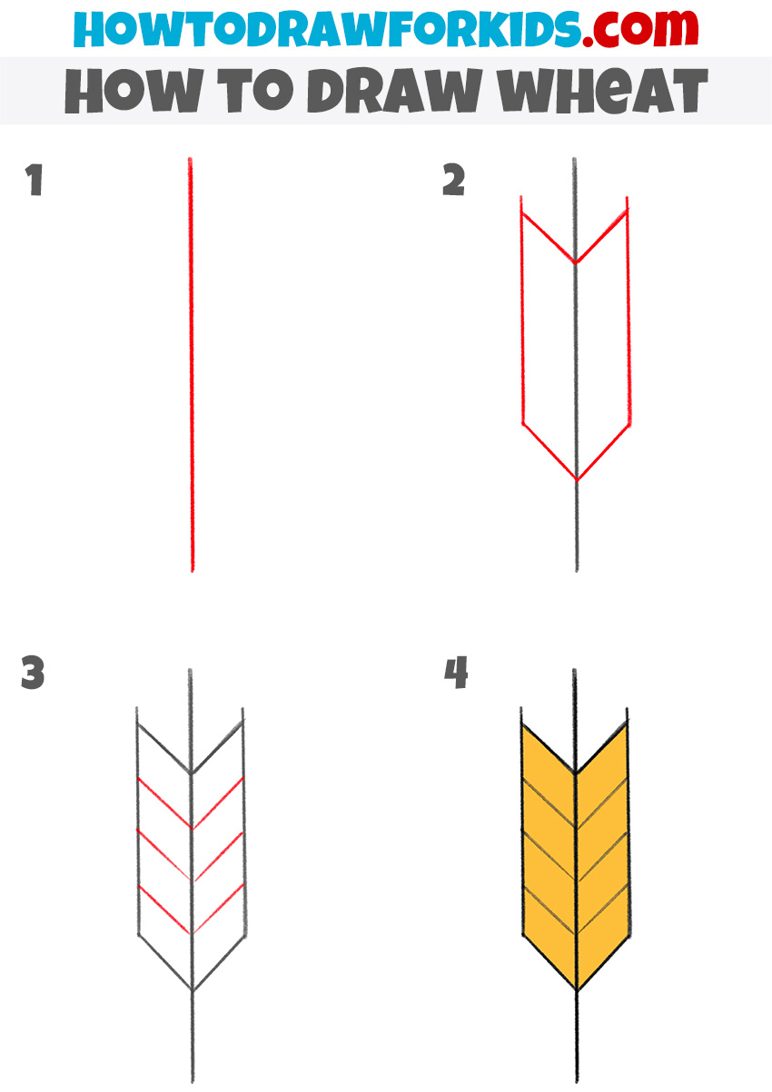 how to draw wheat step by step